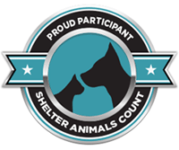 Shelter Animals Count | The National Database Project