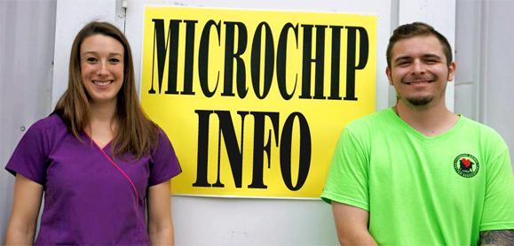 microchip information facts